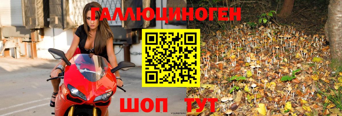 Галлюциногенные грибы Magic Shrooms  Вход с VPN  Черемхово 